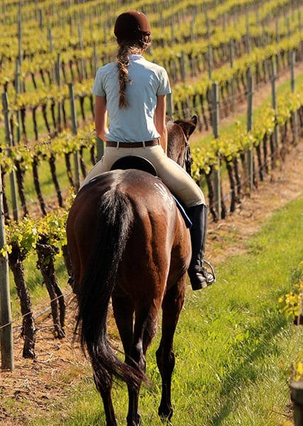 Pernottamento e Passeggiata a Cavallo