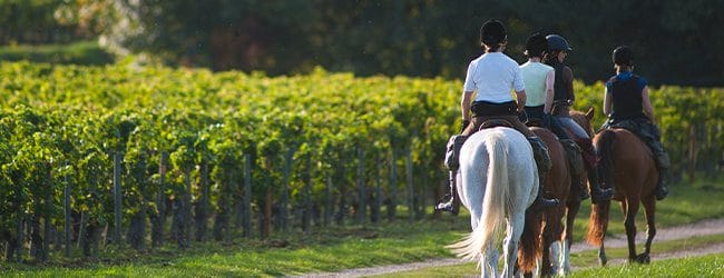 Pernottamento e Passeggiata a Cavallo