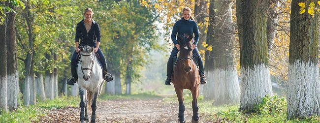 Pernottamento e Passeggiata a Cavallo